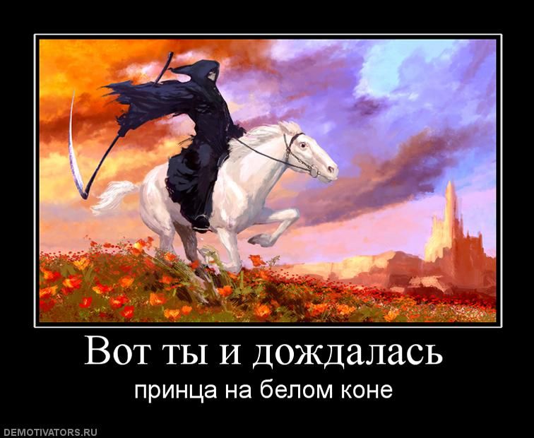 для фото, демотиватор жди принца на белом коне одно лучших