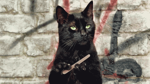 tumblr_mqqgfqi9XT1s4lhp7o1_500.gif