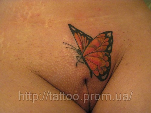 tatu.jpg