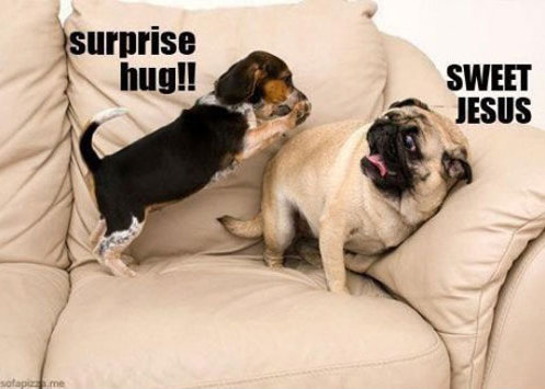 Surprise_Hug_.jpg