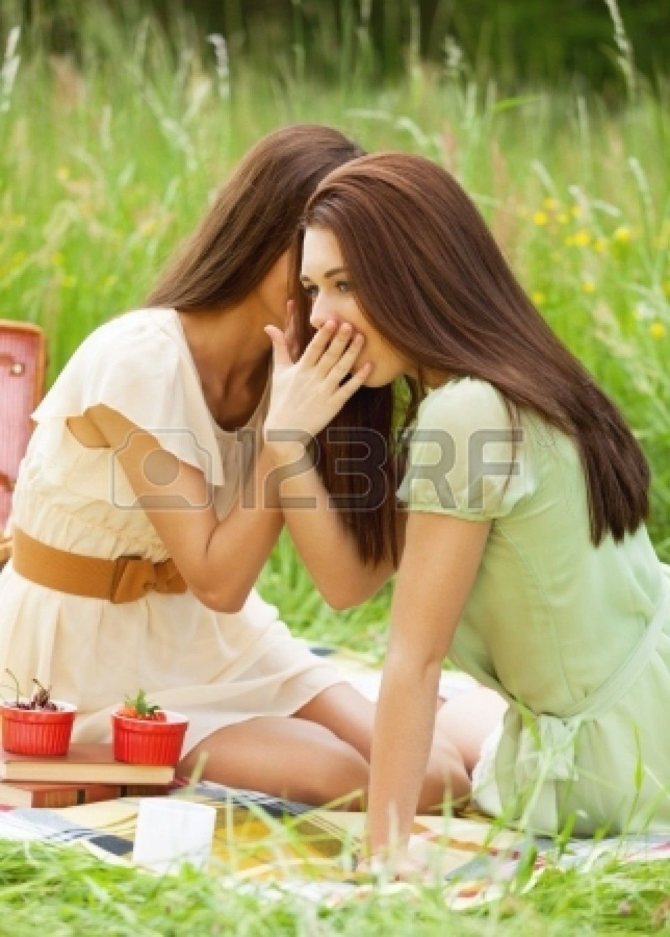 20862324_two_girl_gossiping_during_picnic.jpg
