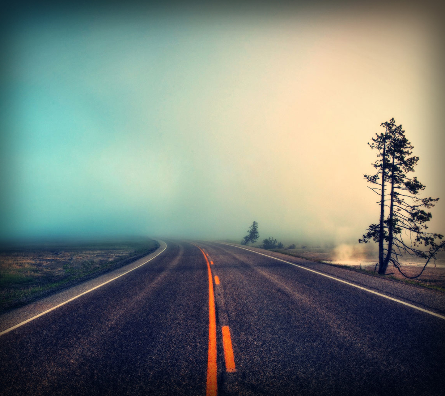 foggy_road.jpg