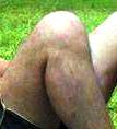 10705372_10202493501412037_198375595_n.jpg