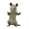 post_25_1358107005.gif