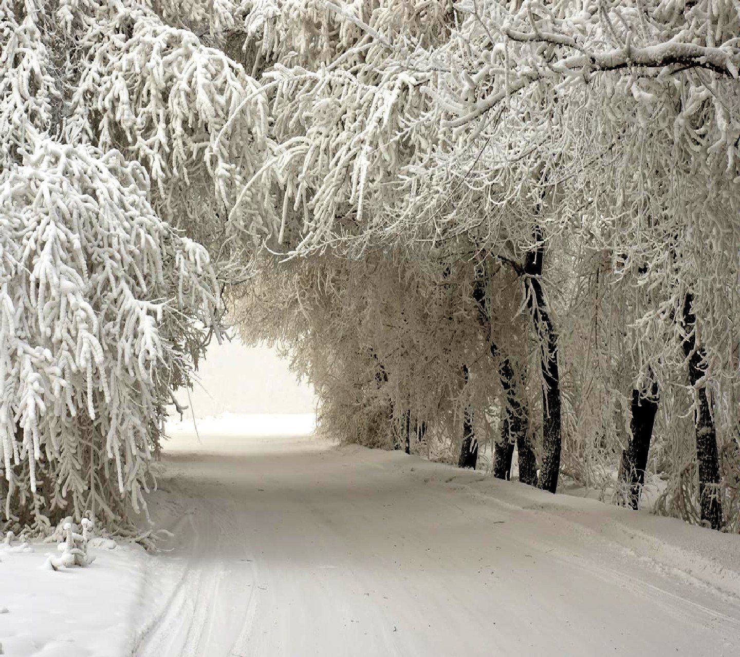winter_wallpaper_10144506.jpg