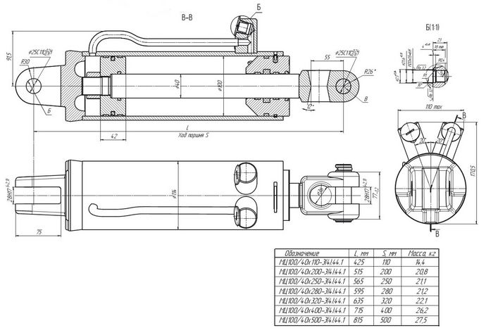 gidroci_porshnevie_mc100_40xs_34441_draft.thumb.jpg