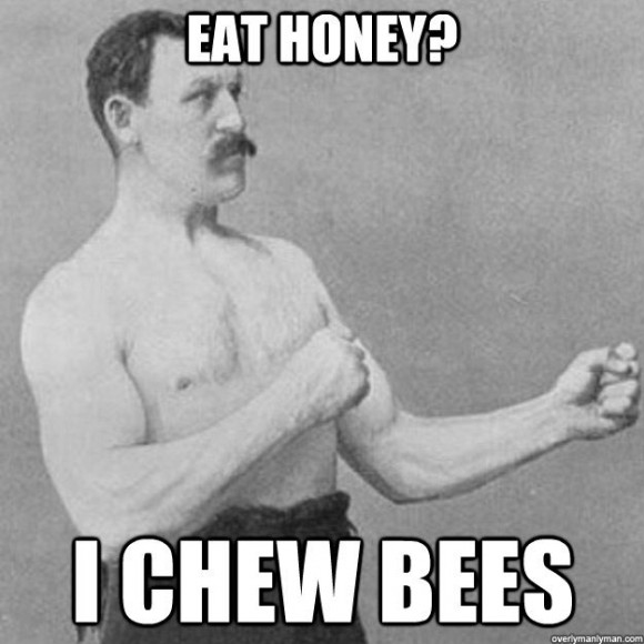 eat_honey_i_chew_bees_overly_manly_man_580x580.jpg