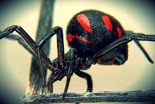 b8ff84c5f08c.jpg