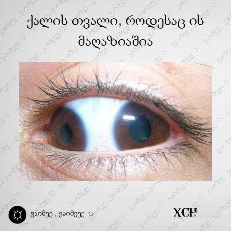 FB_IMG_1456278588454.jpg