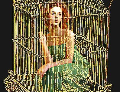 Bird_in_a_Gilded_Cage_397x303.jpg