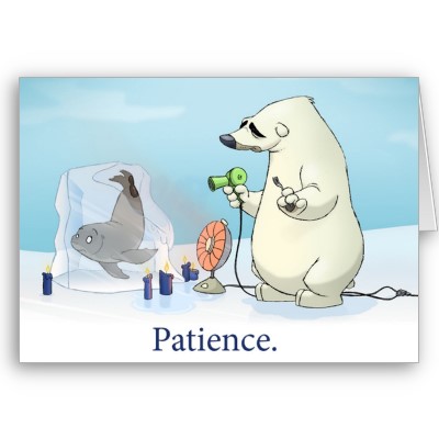 Patience.jpg
