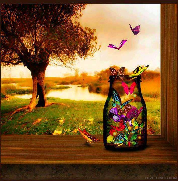 20820_Butterfly_Jar.jpg