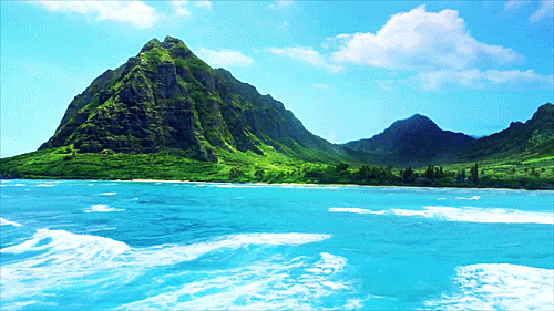 tumblr_m5gl4yt2Bs1r8vu3lo1_500.gif