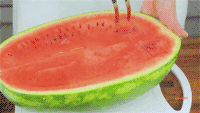 200w_d__9_.gif