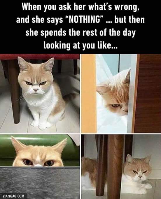 FB_IMG_1469870485569.jpg