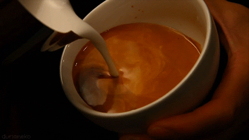 tumblr_nd4xurQ3G41stkhy4o1_500.gif