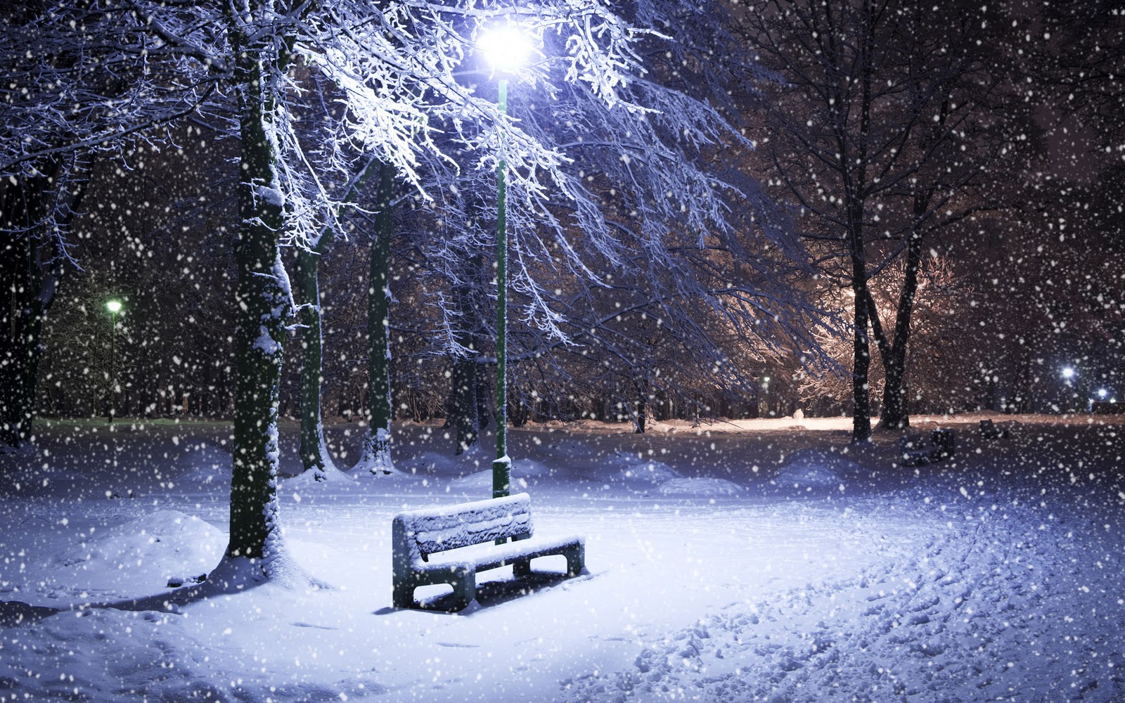 snow_night_16.jpg