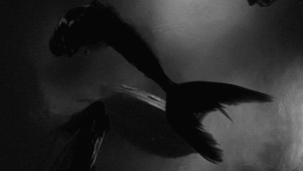 tumblr_static_tumblr_static_drbdpa1iyzw4okgsowcgw4okc_640.gif