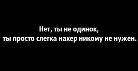 10366043_10201821832179125_2390257080645726109_n___Copy.jpg