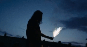 200__1_.gif