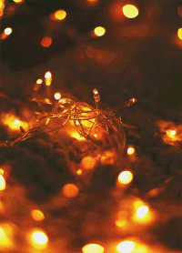 200w.gif