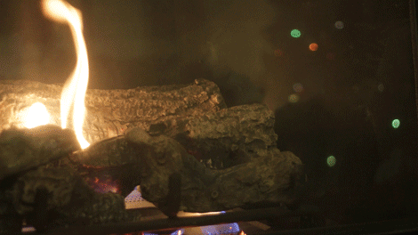 tumblr_oh05n2JVGG1ujivwjo1_500.gif
