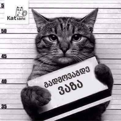 FB_IMG_1483080648759.jpg