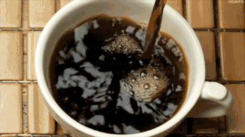 IMG_6484.GIF