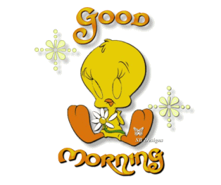IMG_1479.GIF