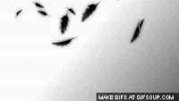 A32C6124_B5EB_4FD7_8FB6_616E9245ADA4_682_0000009879EA48B4.gif