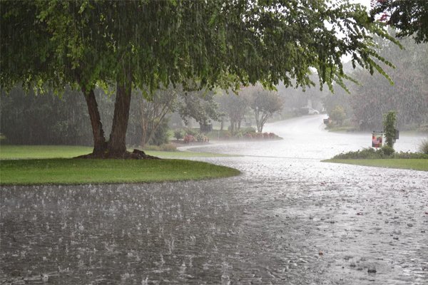 Rain_1_1.jpg