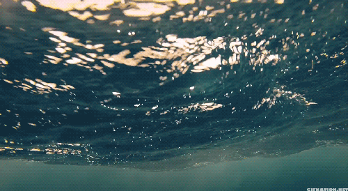 41F75AB5_4E35_4233_BEBA_E655BB7543AF_681_000000A7D1604507.gif