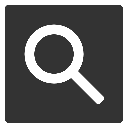 google_web_search.png