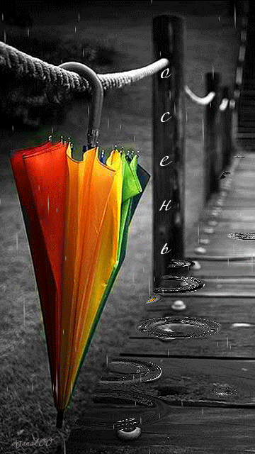 B572B7E6_7044_46D5_A483_B62DCBC1C2E6.gif