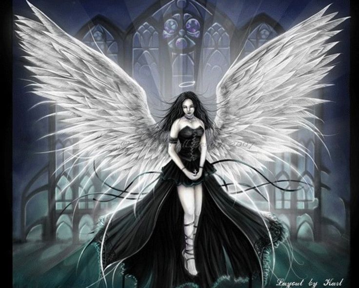 932d46dc8aa9548eac3cebc506406700__gothic_angel_gothic_fairy.jpg