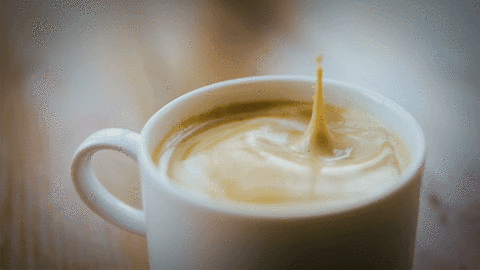 IMG_0480.GIF
