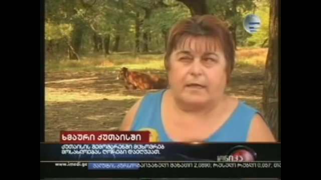 c10143904676.png