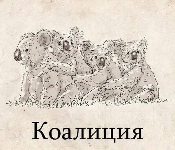 post_55_1504082793.jpg