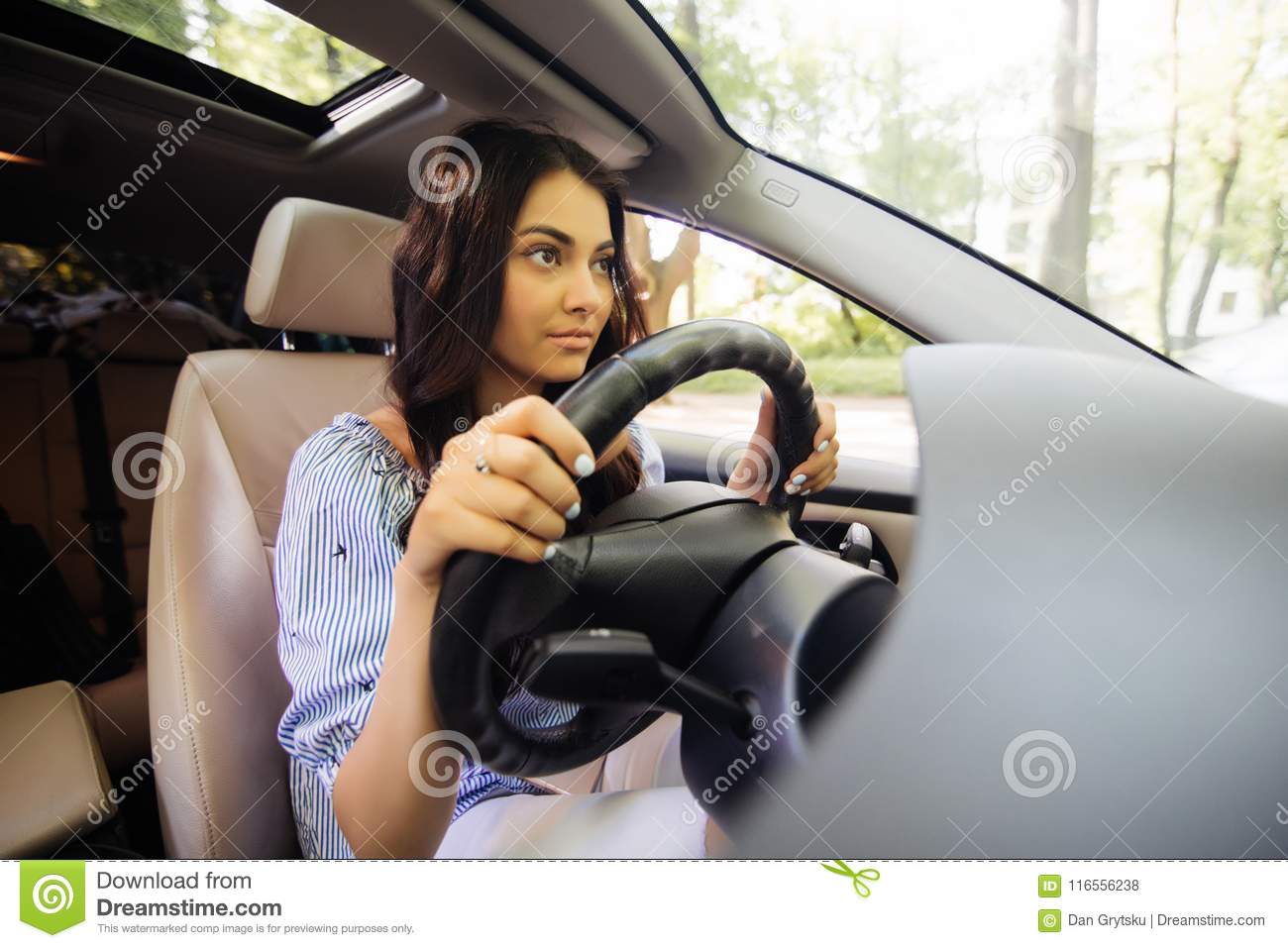 driver_woman_driving_car_concentrated_lear_to_drive_young_116556238.jpg