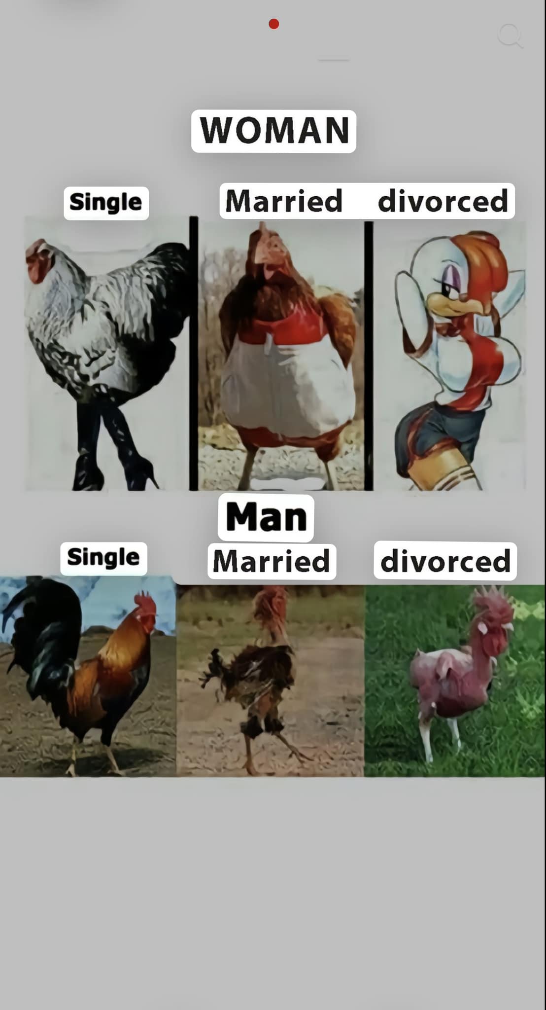 mnguy.jpg