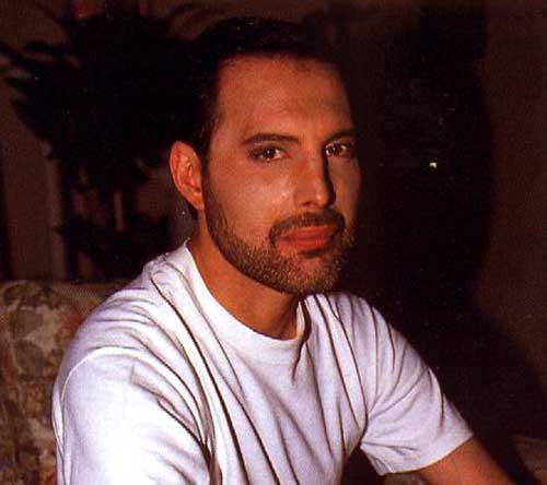 8220032852.jpg