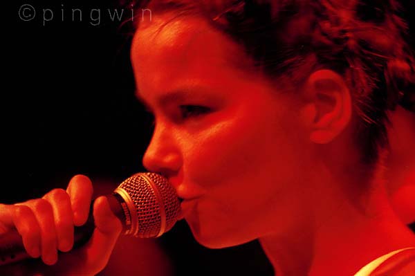 bjork_singing.jpg