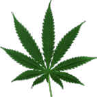 potleaf1.gif
