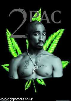 Lp0610_2pac_leaf.jpg