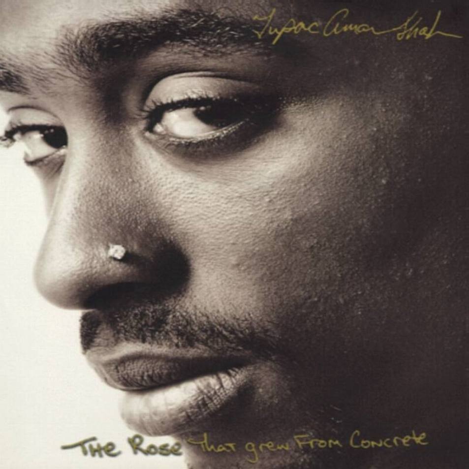 2pac___the_rose_that_grew_from_concrete_a.jpg