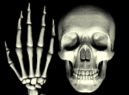 SCULL.JPG