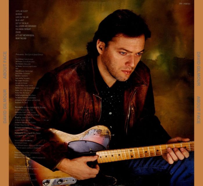 David_Gilmour___back___about_face.jpg
