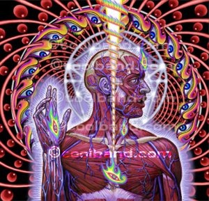 cd_tool_big.jpg