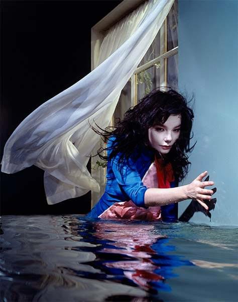 567bjork.JPG