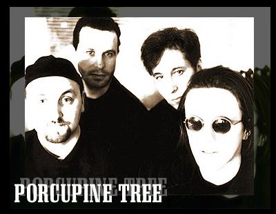 porcupine_title.jpg
